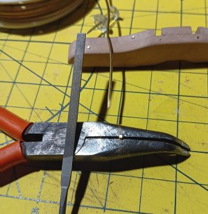 20260221_110312.jpg 20260221_110312.jpg