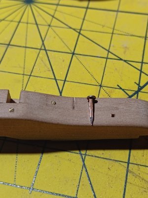 20260221_110729.jpg 20260221_110729.jpg