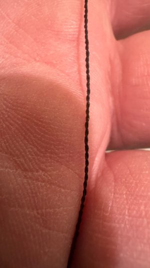 IMG_1448.jpeg IMG_1448.jpeg