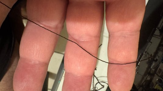 IMG_1449.jpeg IMG_1449.jpeg