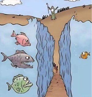 Screenshot_2026-02-18-07-51-28-701_com.android.chrome-edit.jpg Screenshot_2026-02-18-07-51-28-701_com.android.chrome-edit.jpg