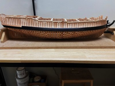 Black Wale.jpg Black Wale.jpg