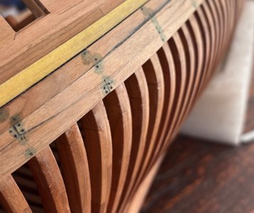 IMG_7896.jpeg IMG_7896.jpeg