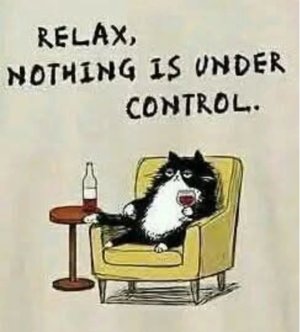 Polish_20260225_162059053.jpg Polish_20260225_162059053.jpg