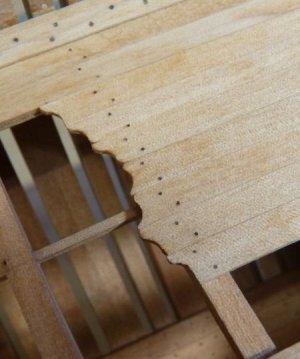 P1140541 CUT SMALL.jpg