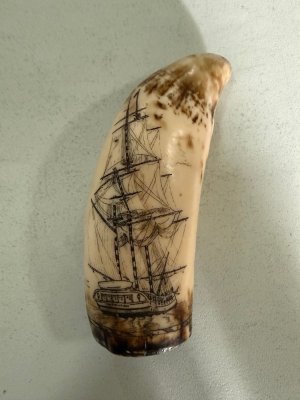 IMG_6806.jpeg IMG_6806.jpeg