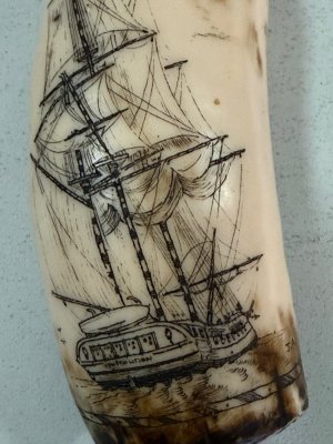 IMG_6810.jpeg IMG_6810.jpeg