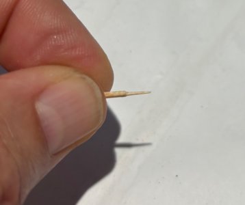 IMG_8002.jpeg IMG_8002.jpeg