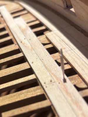 IMG_8003.jpeg IMG_8003.jpeg