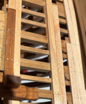 IMG_8017.jpeg IMG_8017.jpeg