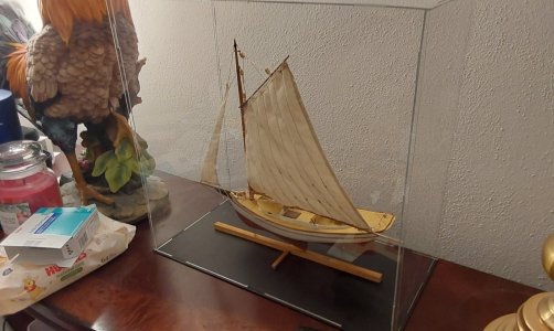 20260228_224744.jpg 20260228_224744.jpg