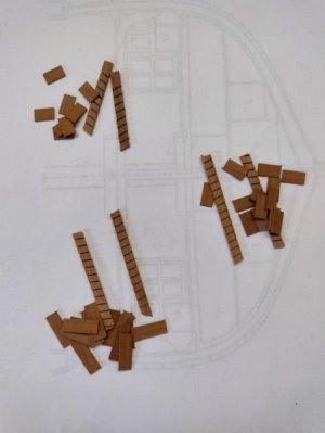 IMG_20260226_164142447_AE SMALL.jpg