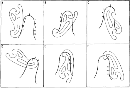 1772673948357.png 1772673948357.png