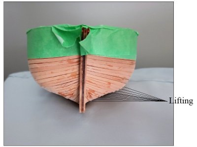 Plank edge lifting.JPG Plank edge lifting.JPG