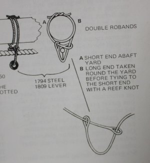 1773056992483.jpeg 1773056992483.jpeg