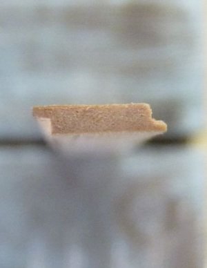 P1140610 CUT SMALL.jpg