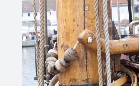 1773417887388.png 1773417887388.png