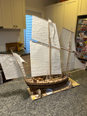 IMG_3824.jpeg IMG_3824.jpeg