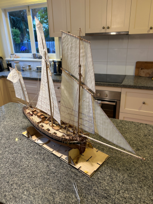 IMG_3823.jpeg IMG_3823.jpeg