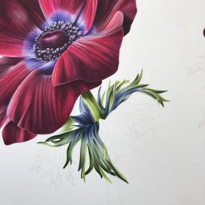 images - 2026-03-16T231840.305.jpeg