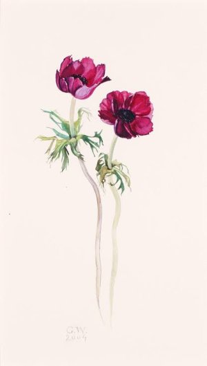 images - 2026-03-16T231234.963.jpeg