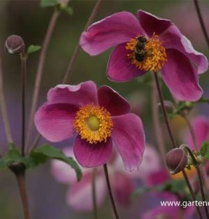 images - 2026-03-16T231005.185.jpeg