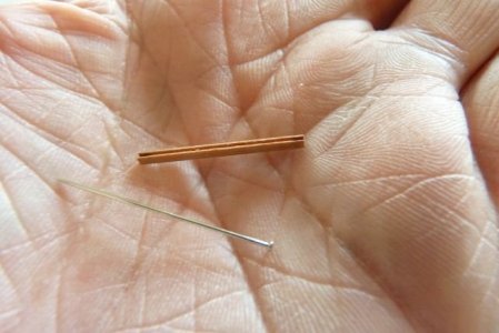 P1140674 SMALL.jpg P1140674 SMALL.jpg