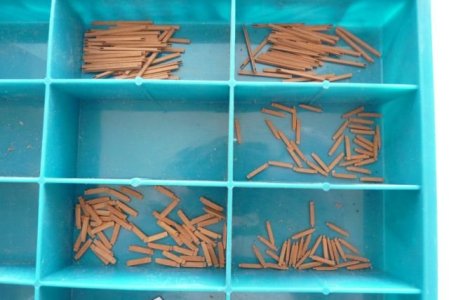 P1140680 SMALL.jpg P1140680 SMALL.jpg