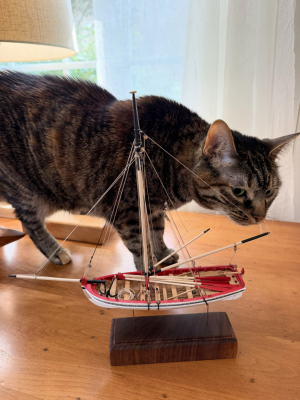 IMG_6987 (Large).PNG