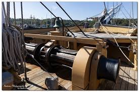 morgan windlass 3.jpeg