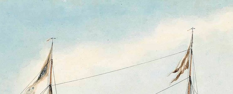 клотиковая шп.jpg