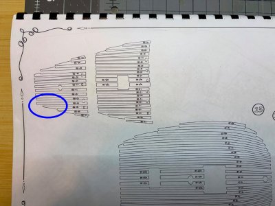 IMG_5282.jpeg IMG_5282.jpeg