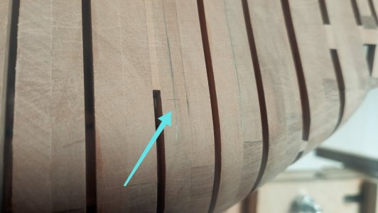 IMG_20260404_160908.jpg IMG_20260404_160908.jpg