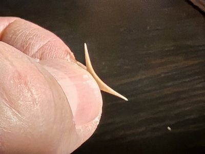 1213_2.jpg 1213_2.jpg