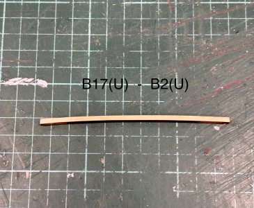 IMG_4702.jpeg IMG_4702.jpeg