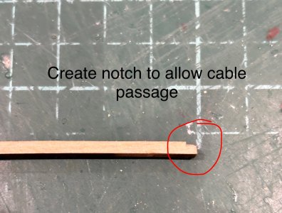 IMG_4704.jpeg IMG_4704.jpeg