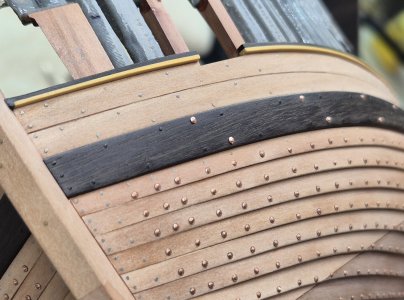 Alert 2295.jpg Alert 2295.jpg