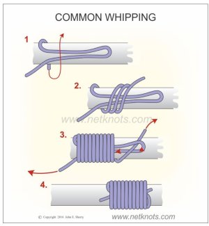 IMG_6570.jpeg IMG_6570.jpeg