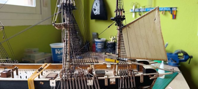 WhatsApp Image 2026-04-11 at 17.11.25 (3).jpeg WhatsApp Image 2026-04-11 at 17.11.25 (3).jpeg