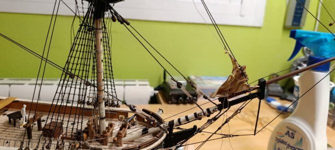 WhatsApp Image 2026-03-18 at 18.43.47 (1).jpeg WhatsApp Image 2026-03-18 at 18.43.47 (1).jpeg