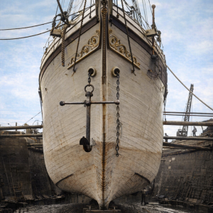 Colorized Endurance .png