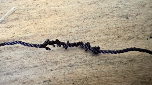 IMG_2175.jpeg IMG_2175.jpeg