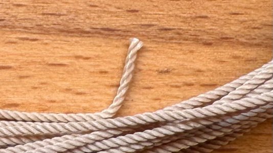 IMG_2151.jpeg IMG_2151.jpeg