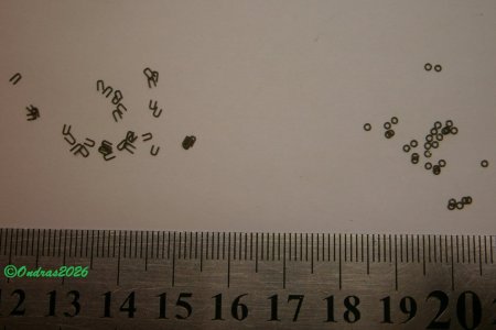 kroužky na gaskety velkých ráhen (4).JPG