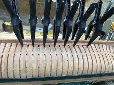 IMG_9117.jpeg IMG_9117.jpeg