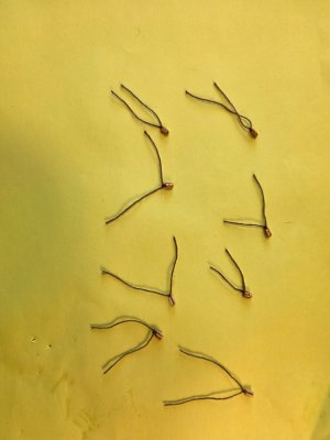 1000015059.jpg 1000015059.jpg