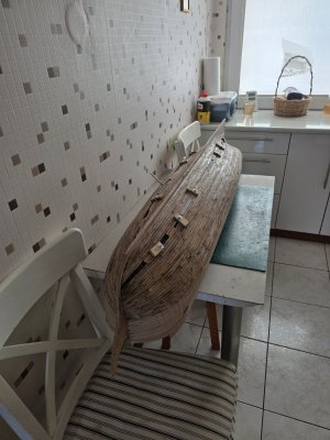 20250731_173437.jpg 20250731_173437.jpg