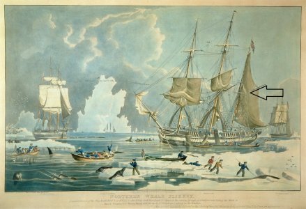 William_John_Huggins_-_Northern_Whale_Fishery_engraved_by_E_Duncan_1829_(colour_aquatint)_-_(M...jpg