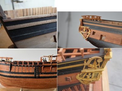 side planking montage.jpg