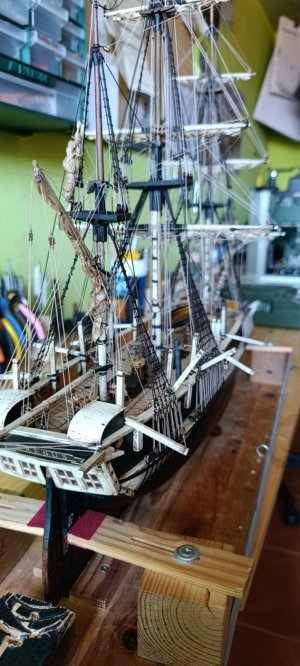 WhatsApp Image 2026-04-20 at 10.57.57 (1).jpeg